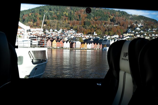 Bergen: Guided Tour by Minibus with Local Guide & Photostops - Solheimsviken and Bergen’s changing waterfront