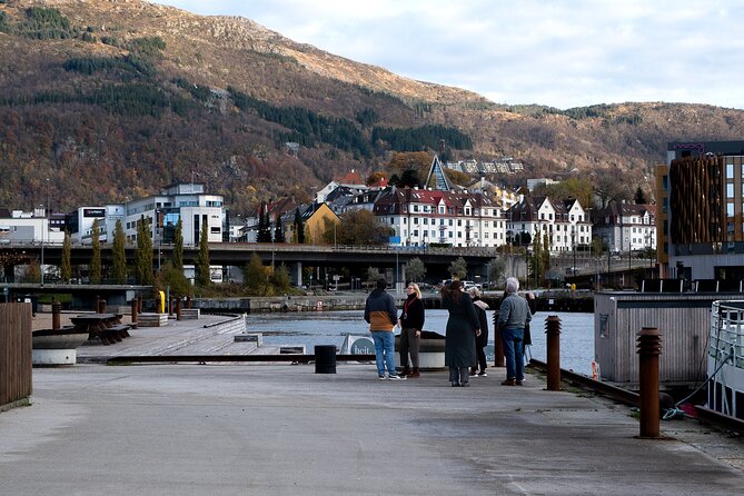 Bergen: Guided Tour by Minibus with Local Guide & Photostops - Finishing with 20 minutes at Bryggen