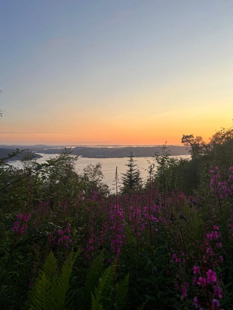 Bergen Magical Nature Tour | ViFlowExperience - Local nature explained as you walk
