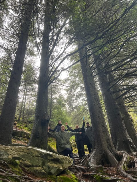 Bergen Magical Nature Tour | ViFlowExperience - The optional sauna and a fjord dip
