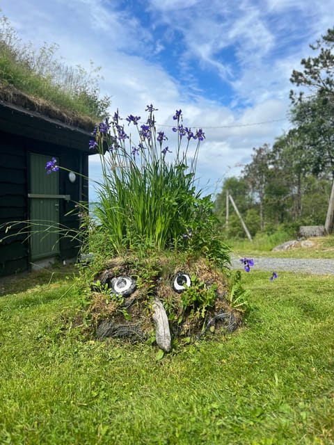 Bergen Magical Nature Tour | ViFlowExperience - Three and a half hours through Fløyen’s forest