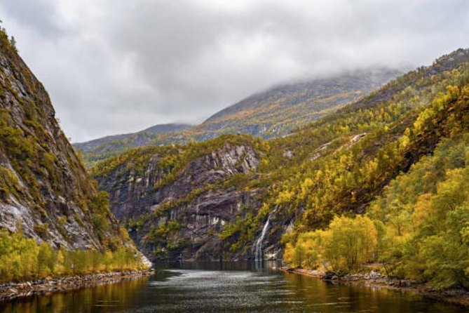 Bergen: Mostraumen Fjord Cruise - Who will enjoy Mostraumen most?