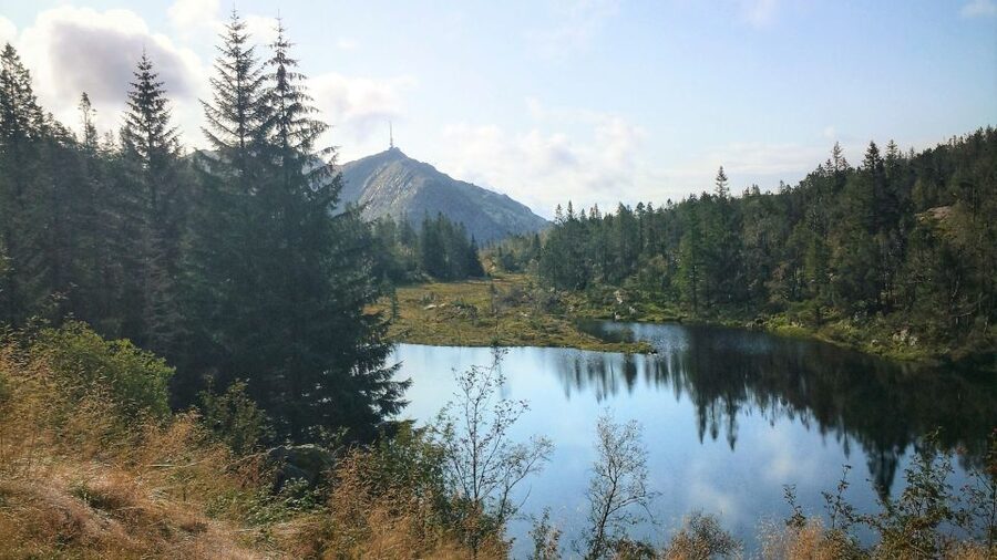 Bergen: Mountain hike on top of Bergen - Public tour - Key points to know before booking