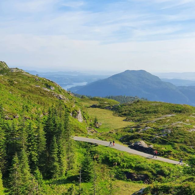 Bergen: Mountain hike on top of Bergen - Public tour - From Mt. Fløyen to quieter mountain ground
