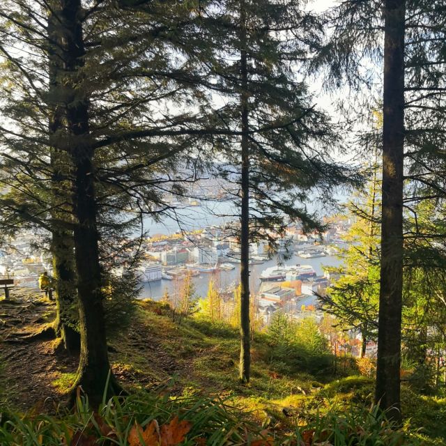 Bergen: Mountain hike on top of Bergen - Public tour - Returning to Bergen after the mountain trail