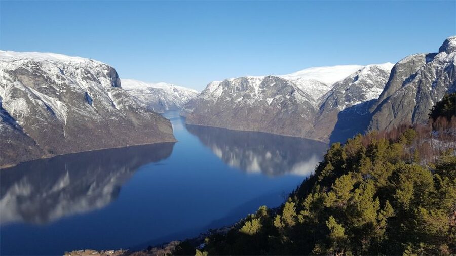 Bergen: Nærøyfjord Cruise and Flåm Railway Ride to Oslo - What $1,174 buys you