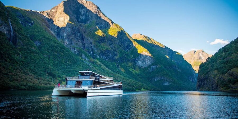 Bergen: Nærøyfjorden, Flåm, and Stegastein Guided Bus Tour - Key points before you book