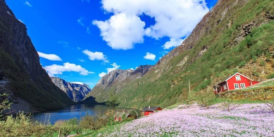 Bergen: Nærøyfjorden, Flåm, and Stegastein Guided Bus Tour - What you are really buying for $309