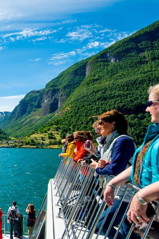 Bergen: Nærøyfjorden, Flåm, and Stegastein Guided Bus Tour - Stegastein is the high point, literally