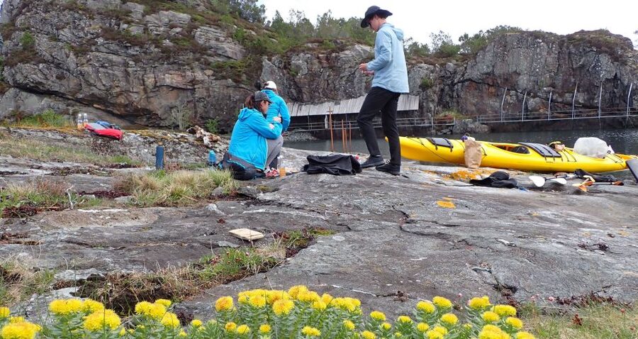 Bergen: Øygarden Islets Guided Kayaking Tour - Between the Øygarden islets