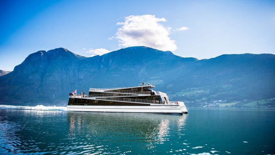 Bergen: Private Day Tour, Nærøyfjord Cruise and Flåm Railway - The long day and other drawbacks