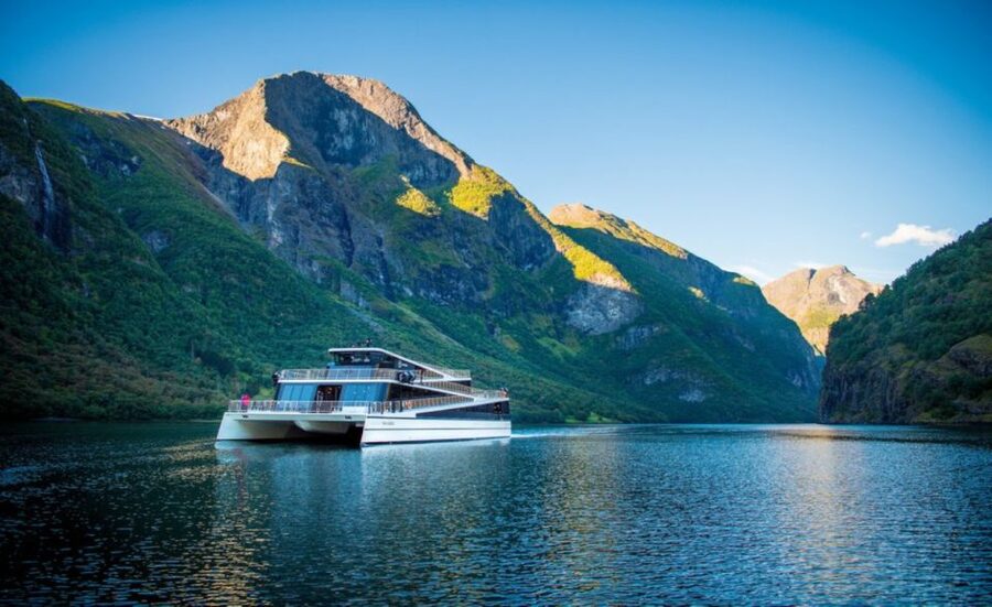 Bergen: Private Day Tour, Nærøyfjord Cruise and Flåm Railway - Myrdal, Voss, and the return to Bergen