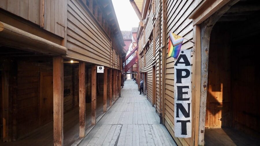 Bergen: Private tour in your own language - Bryggen explains Bergen’s trading past
