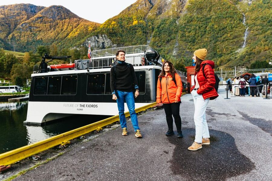 Bergen: Self-Guided Round-Trip Full-Day Excursion - Should you book the Bergen to Flåm loop?