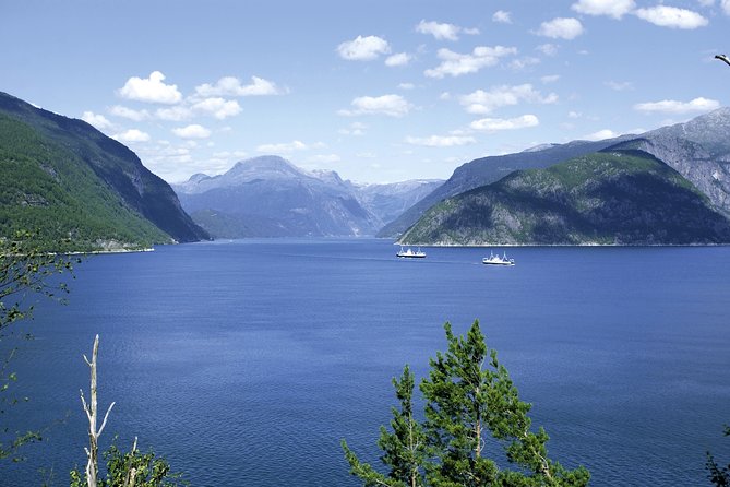 Bergen: Self-Guided Roundtrip (Sognefjord Cruise 5h & Flamsbana) - Key points to know before booking