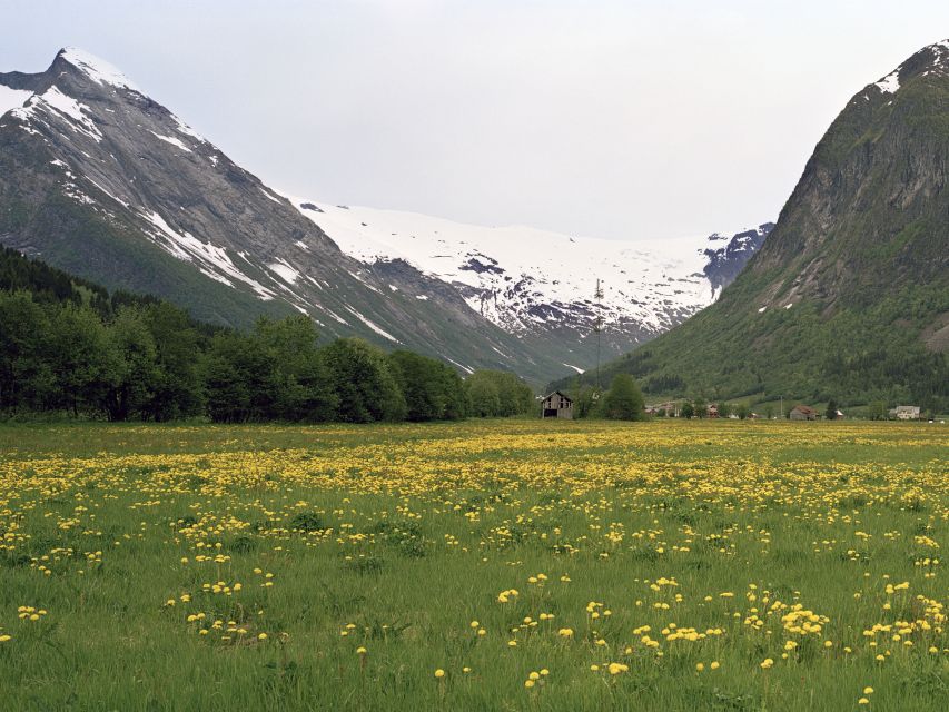 Bergen: Self-Guided Trip to Oslo with Sognefjord cruise (5h) - The big picture: Bergen to Oslo in 14 hours