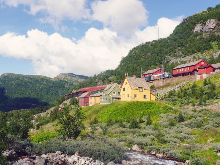 Bergen: Self-Guided Trip to Oslo with Sognefjord cruise (5h) - Boarding at Bergen Port