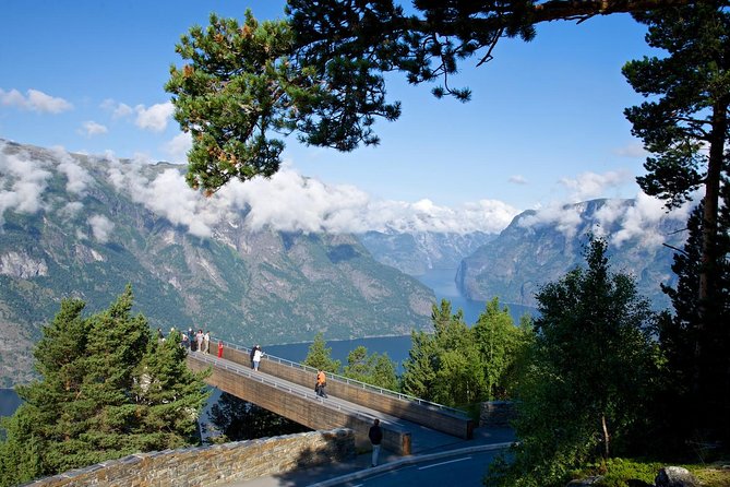 Bergen to Sognefjord Private Roudtrip with Cruise and Flasmbana - What $780.91 per person actually buys