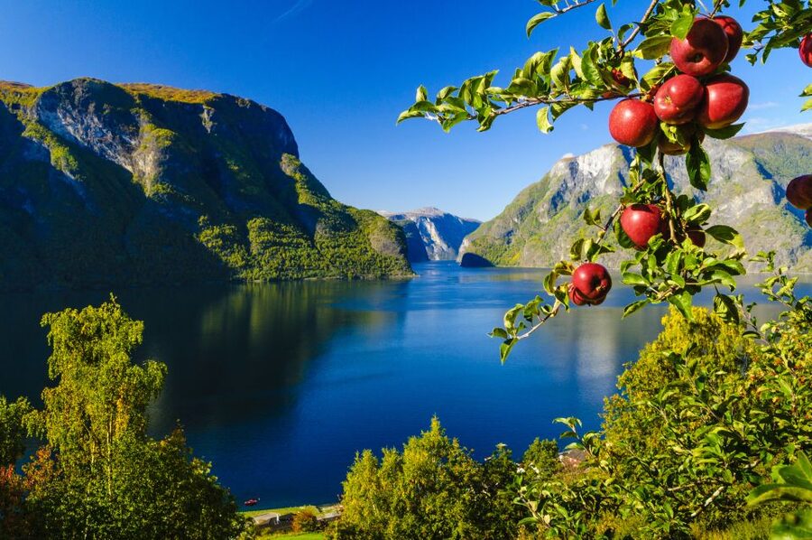 Bergen: Viking Village, Nærøyfjord Cruise & Flåm Railway - A big Norway day from Bergen