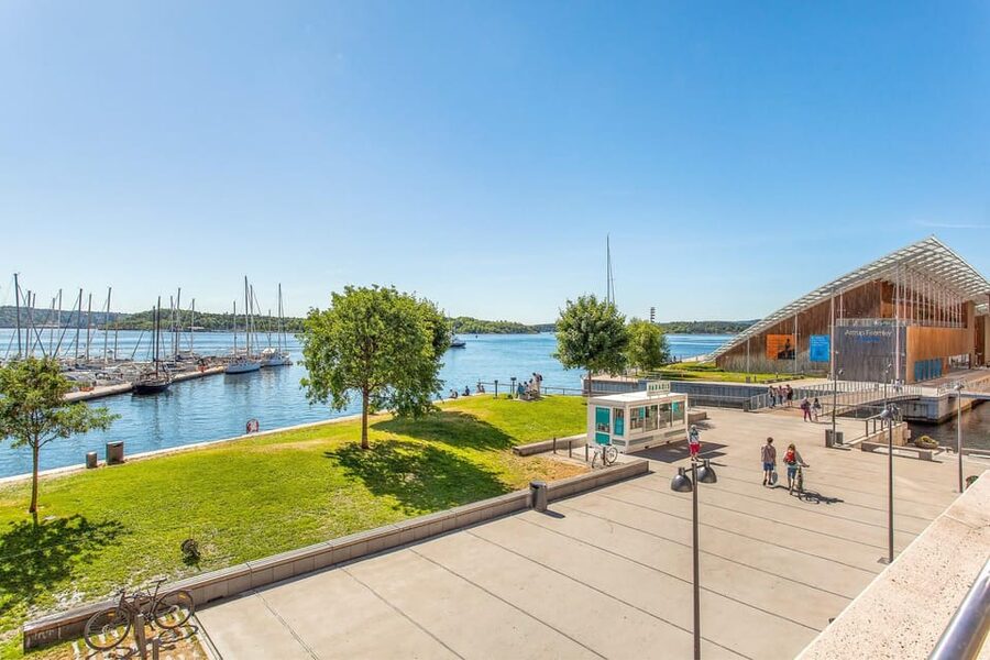 Best of Oslo: Walking Tour with a local guide - The Opera House, Munch Museum, and Bjørvika