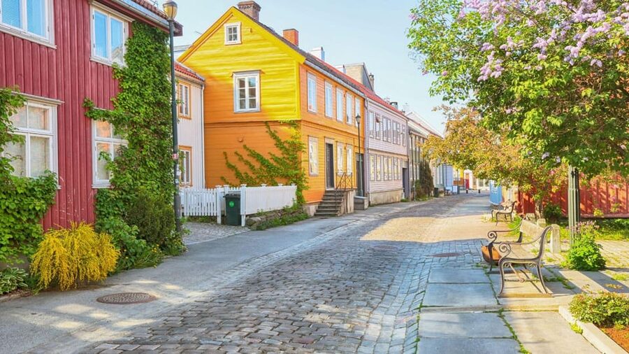 Best of Trondheim: Private Walking Tour with a Local - What the local guide adds