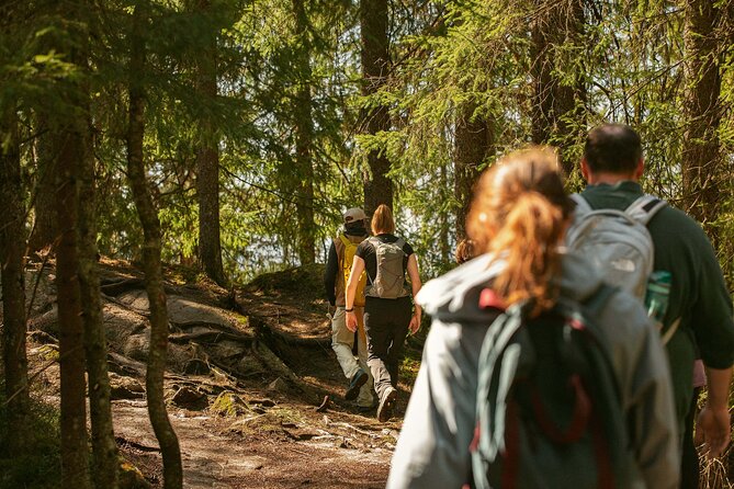 Best View of the Oslofjord Hike - Frognerseteren, forest paths, and small lakes