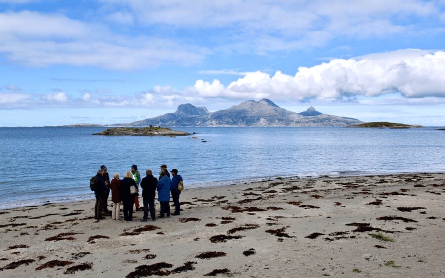 Bodø: Arctic Coastal Walk - Key points to know before you book
