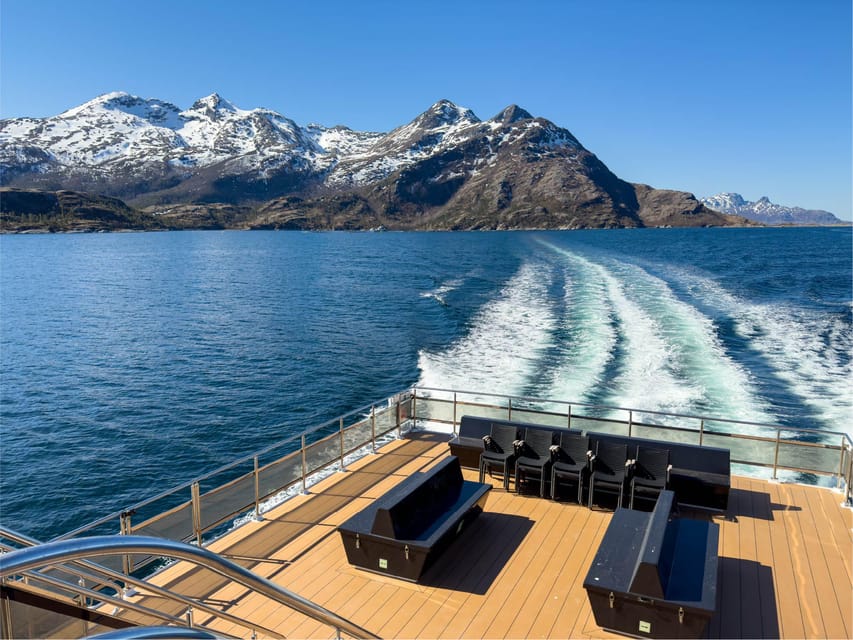 Bodø: Beiar Fjord & Saltstraument Cruise - What the guide adds to the view