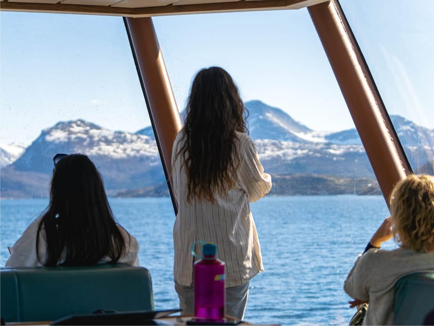 Bodø: Beiar Fjord & Saltstraument Cruise - A closer look at the value of $103