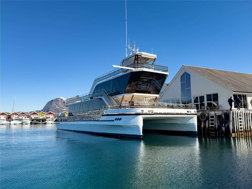 Bodø: Kjerringøy & Silent Coastal Cruise - Key points to know before booking