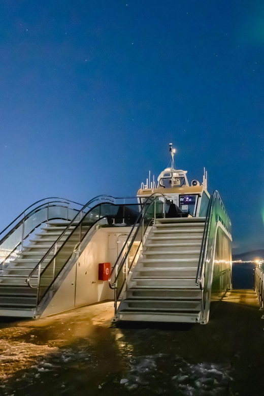 Bodø: Northern Lights Cruise - Seeing the Northern Lights from the outside deck
