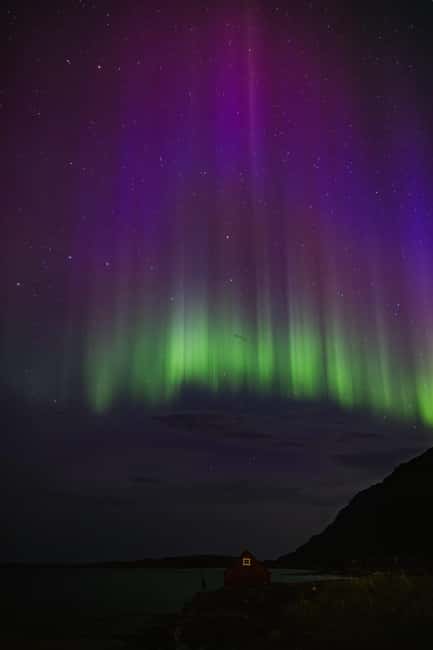 Bodø: Northern Lights safari - Key points to know before you book