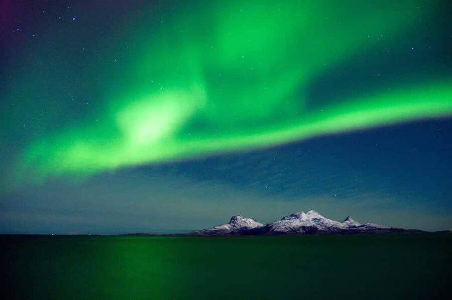 Bodø: Northern Lights safari - Standing outside in the Bodø winter