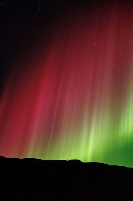 Bodø: Northern Lights safari - Photographing the northern lights with a phone