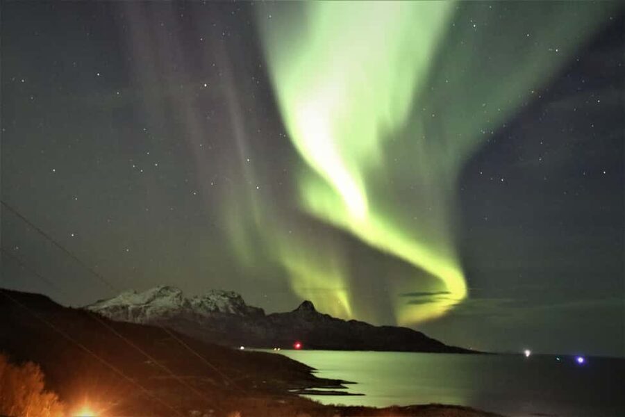 Bodø: Northern Lights safari - Stars, darkness, and the possibility of no aurora