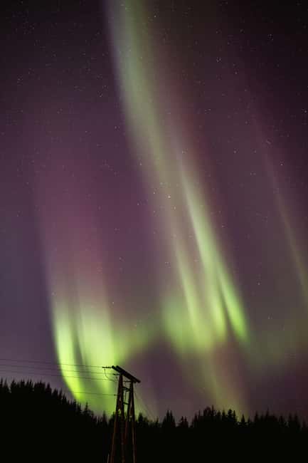Bodø: Northern Lights safari - Who will get the most from this outing