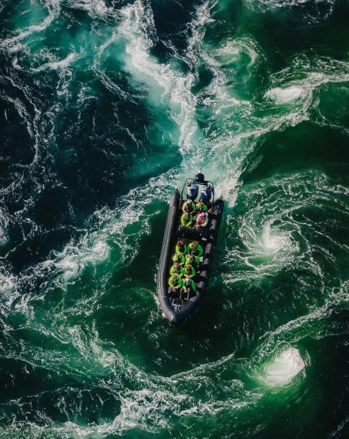 Bodø: Saltstraumen Sea Eagle Trip by RIB - The 10-Minute Safety Briefing and Fast Run to Saltstraumen