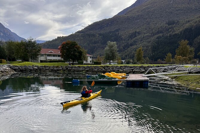 Briksdal Glacier and Loen Skylift day Excursion - Is $400.27 a fair price?