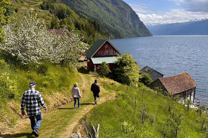 Briksdal Glacier and Loen Skylift day Excursion - Who should book this excursion?