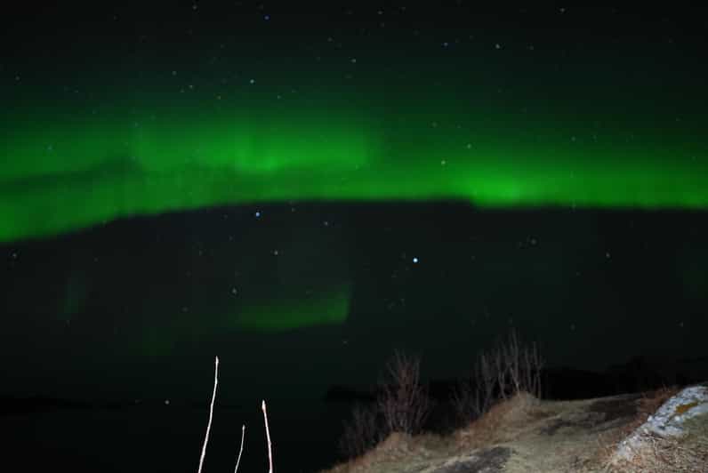 Chase the Magic of the Northern Lights in Tromsø Norway - Key points to know before you book