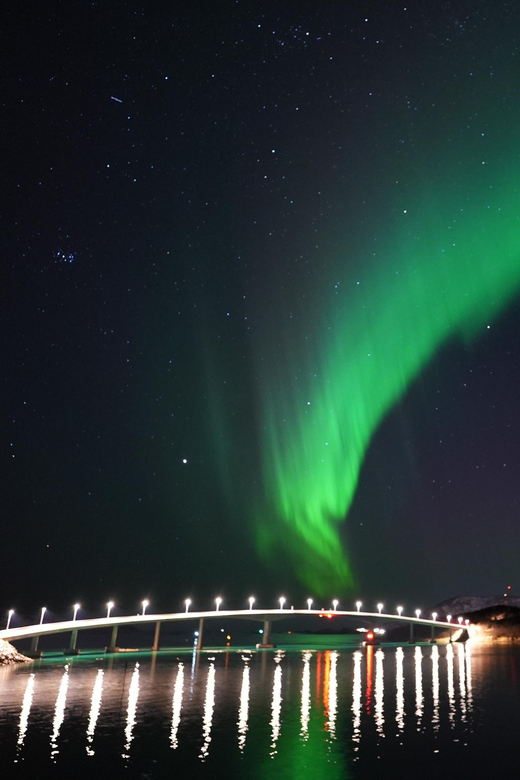 Chase the Magic of the Northern Lights in Tromsø Norway - Leaving Tromsø City Library after dark