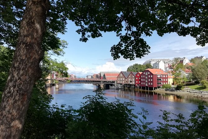 City Bus Tour in Trondheim, Norway - Climbing Byåsen for the Sverresli view