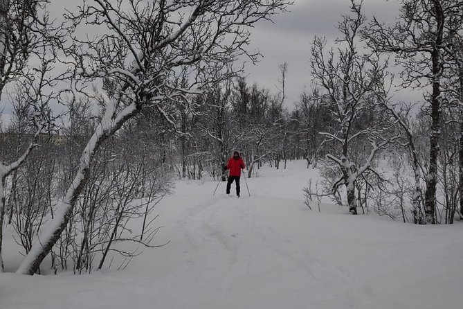 Cross-Country Ski Lesson for Beginners in Tromso - Is $134.97 good value?