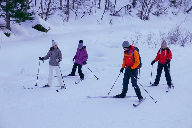 Cross-Country Ski Lesson for Beginners in Tromso - Who should book this activity?