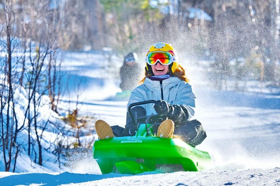 Dagali: 2-Hour Racing Toboggan Adventure - Is $48 a fair price?