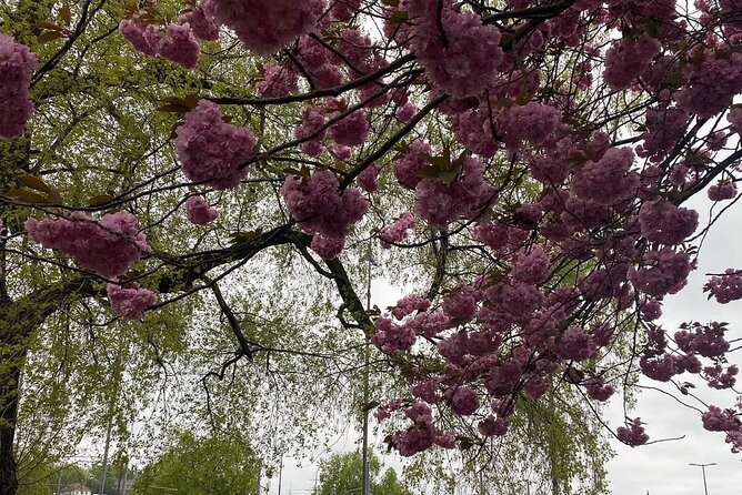 Discover Oslo on foot - What Marcela adds to the walk