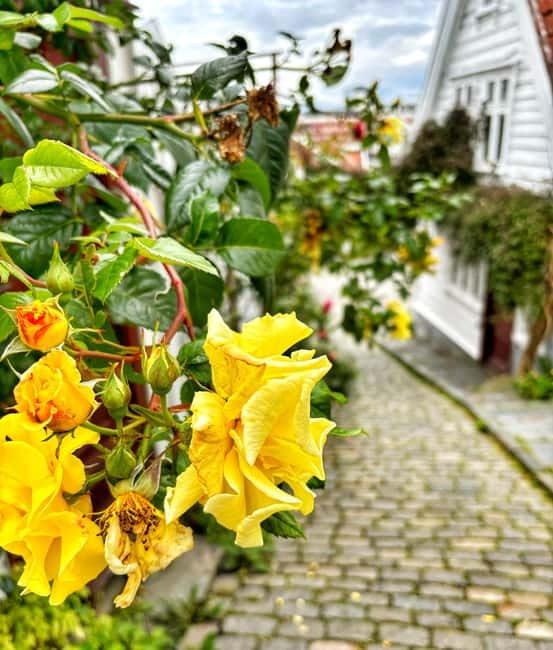 Discover Private+ Stavanger Guided City Tour - Starting at Strandkaien, Klubbgata, or your accommodation