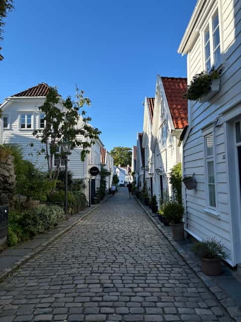 Discover Private+ Stavanger Guided City Tour - Two hours, or possibly three