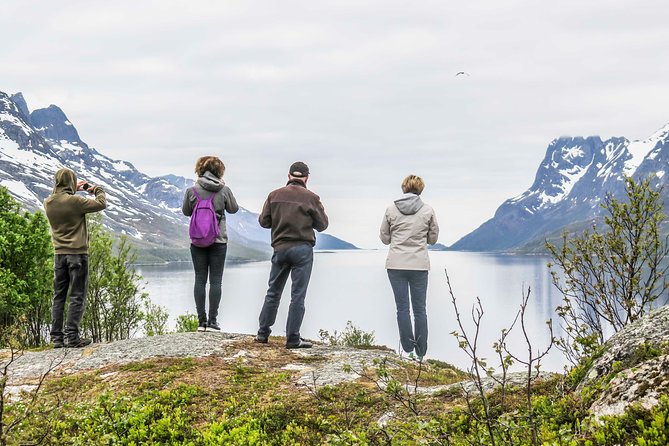Discover the Fjords of Kvaloya - a roadtrip along fjords and fishing villages - Why Kvaløya makes a good half-day escape