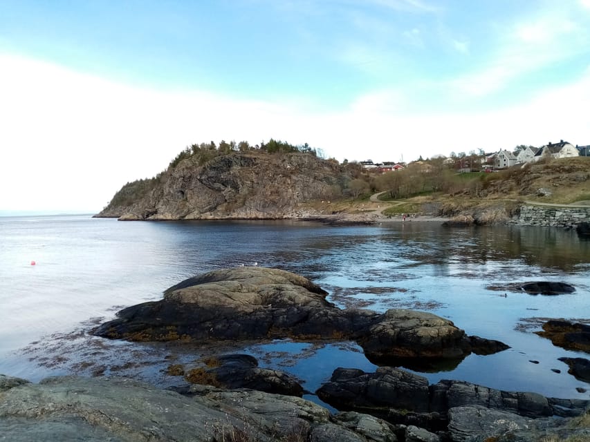 Discovery hike along the Trondheimsfjord - Korsvika and the coastal rhythm